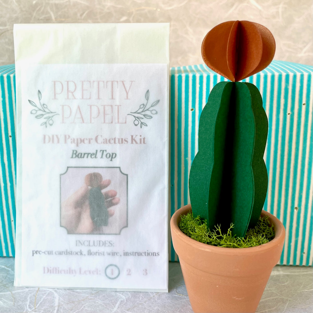 DIY Paper Cactus, The Complete Crafting Kit – Pretty Papel