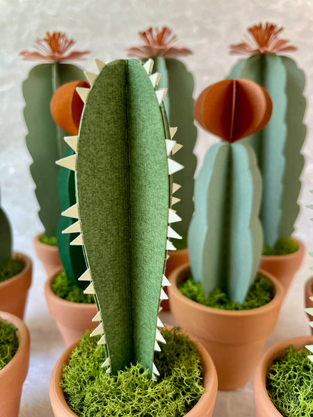 Paper Cactus, Spiked