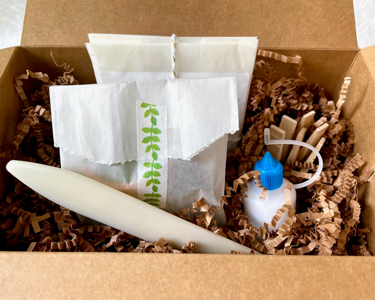 DIY Paper Cactus Kit, Set of 3 – Pretty Papel