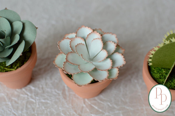 3 different, small, handmade paper succulents and cactus planted in preserved moss in tiny terracotta pots. Shades of blues and greens, shown against a white background. 