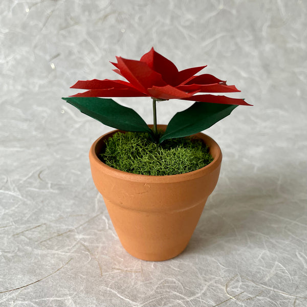 Petite Poinsettia, Shimmer Red