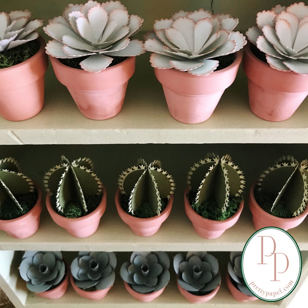 3 rows of small, lifelike paper succulents in tiny terracotta pots, sitting on light green shelves. 