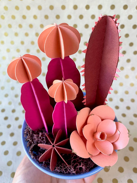 Cactus Sorbet No. 4