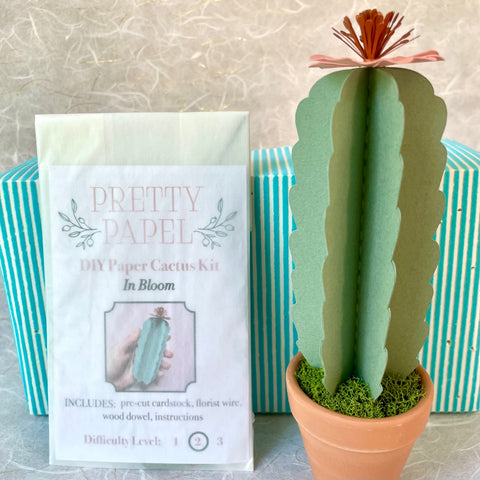 DIY Paper Cactus Kit, In Bloom