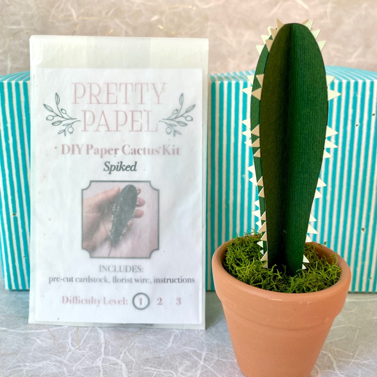 DIY Paper Cactus Kit, Spiked – Pretty Papel