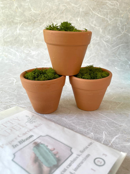 DIY Paper Cactus Kit, Terracotta Pot