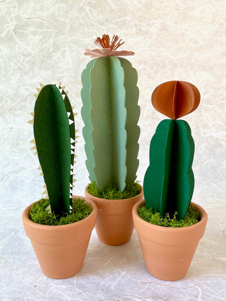DIY Paper Cactus Kit, Set of 3