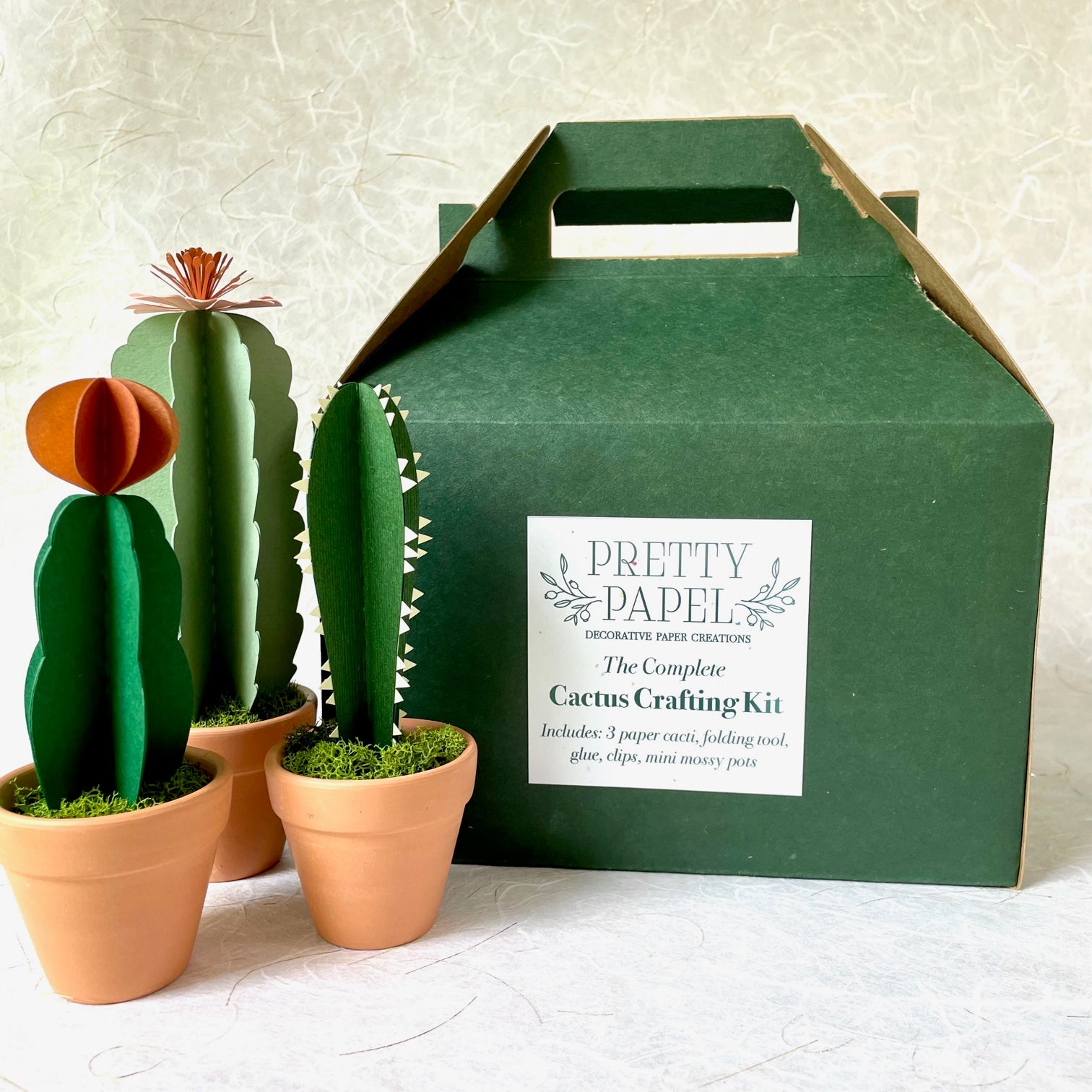 DIY Paper Cactus, The Complete Crafting Kit