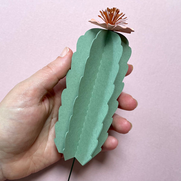 Workshop: Blooming Paper Cactus