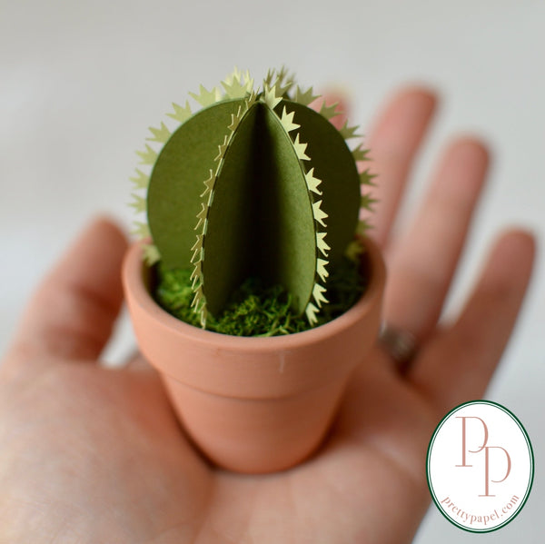 Small, round and prickly green paper cactus planted in preserved moss, in a tiny terracotta pot. Sitting in the palm of a hand. 