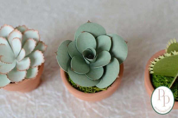 Set of 3, small handmade paper succulents and cactus planted in preserved moss in tiny terracotta pots against a white background. 