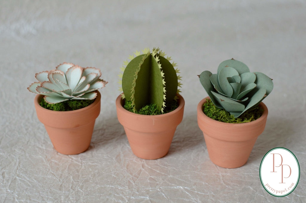 Mini Paper Succulent, Round Cactus