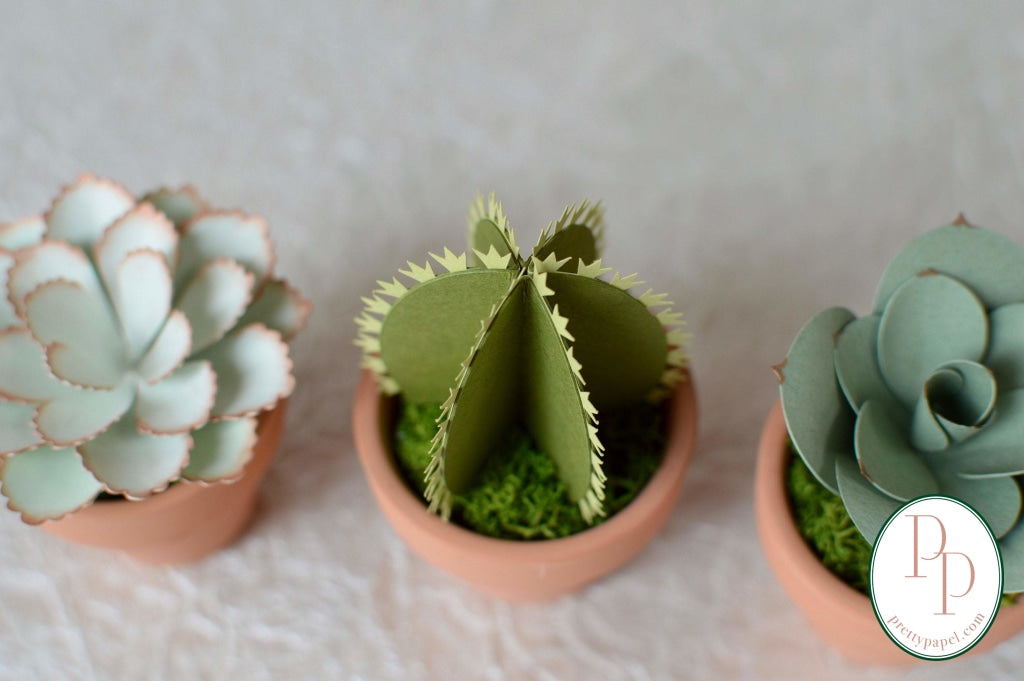 3d paper succulents Mini Paper Succulents, Set of 3