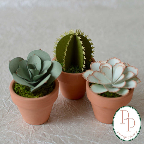 3 different, small, handmade paper succulents and cactus planted in preserved moss in tiny terracotta pots. Shades of blues and greens, shown against a white background. 