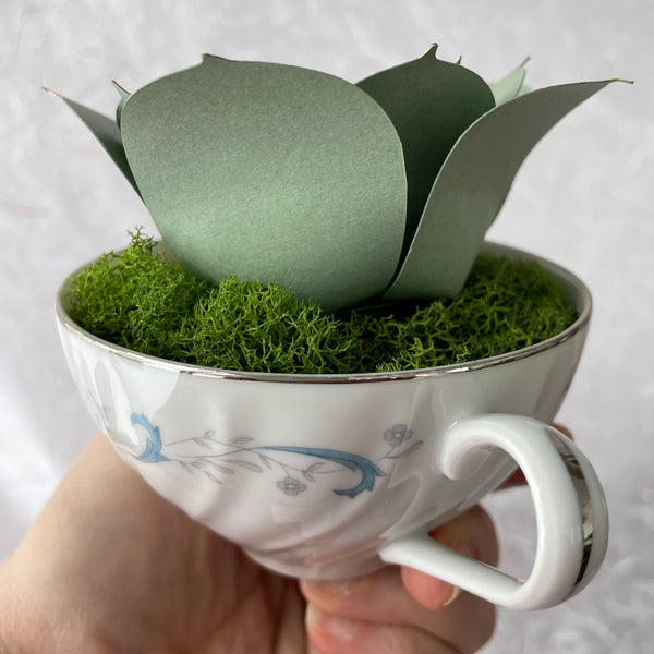 Paper Succulent in Vintage Teacup, Paper Echeveria