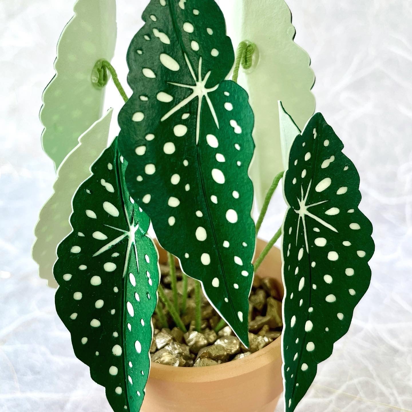 paper house plants Petite Paper House Plant