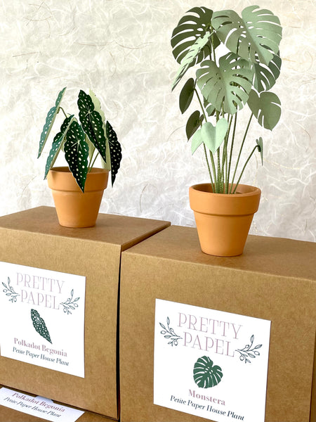 Petite Paper House Plant - Polkadot Begonia