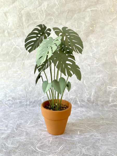 Petite Paper House Plant - Monstera