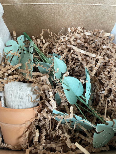 Petite Paper House Plant - Monstera