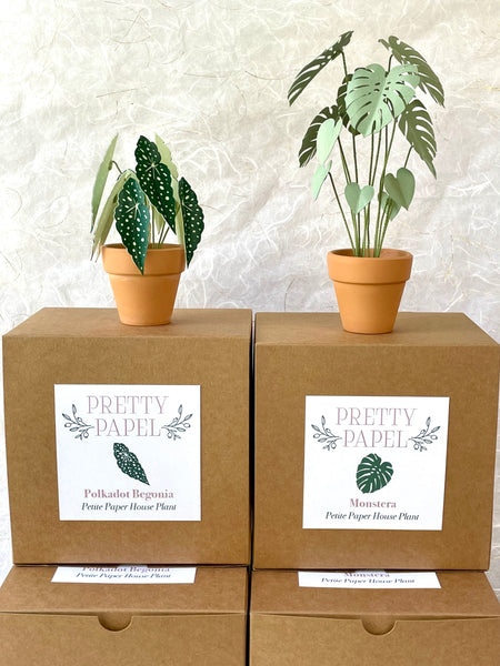 Petite Paper House Plant - Monstera
